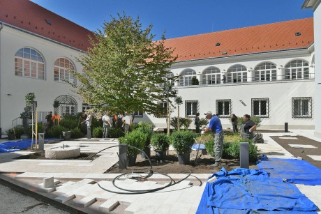 Már a növényeket telepítik a Városháza megújuló díszudvarára